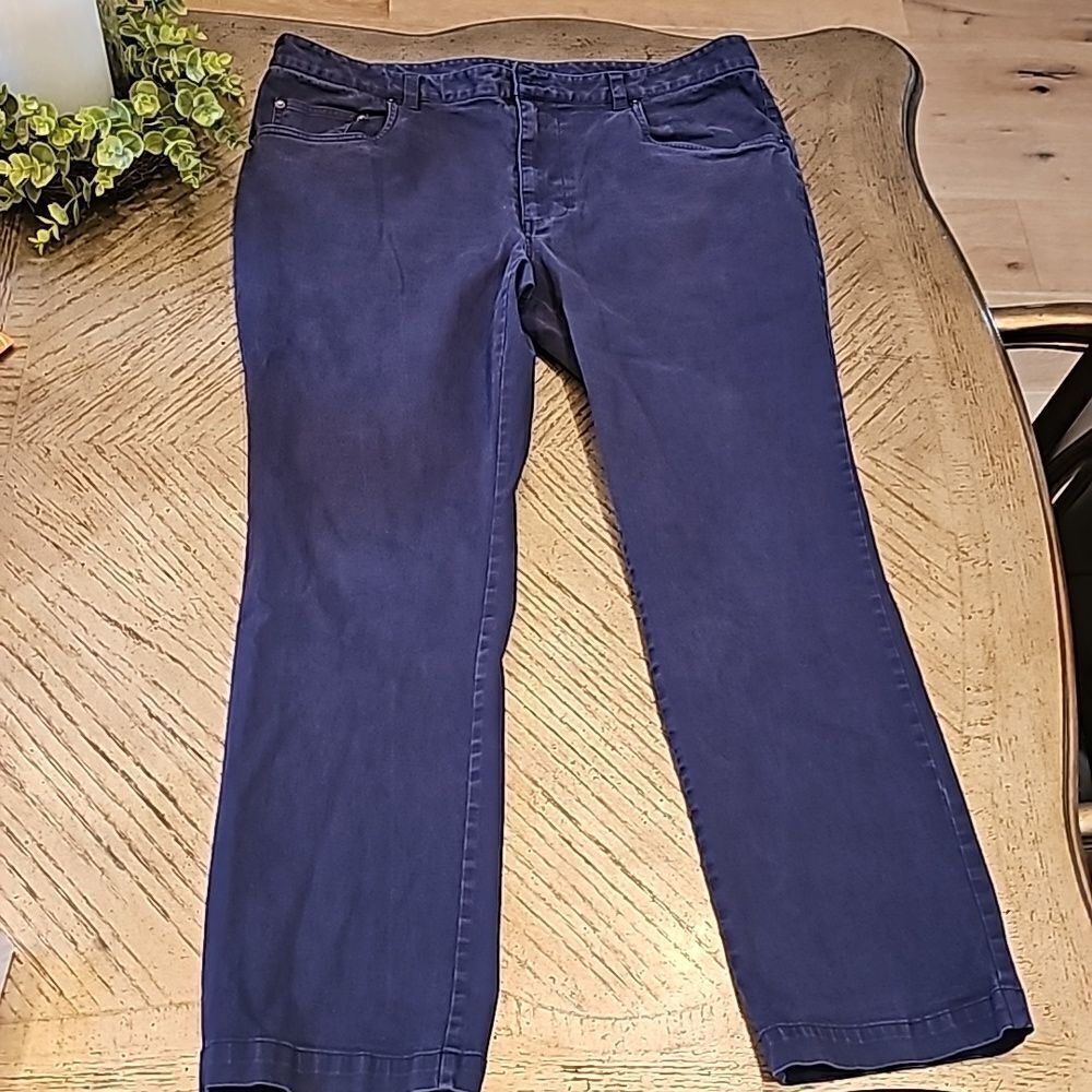 Tasso Ella blue pants size 36W30L